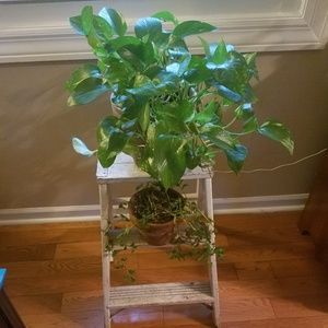 Meet your Posher, Wendy